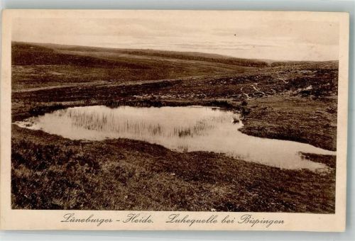 Bispingen Luhequelle Lüneburger heide