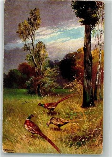 Fasane auf einer Wiese T.S.N. Serie 1796