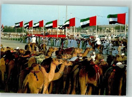 Dubai Kamele Sportplatz Tracht