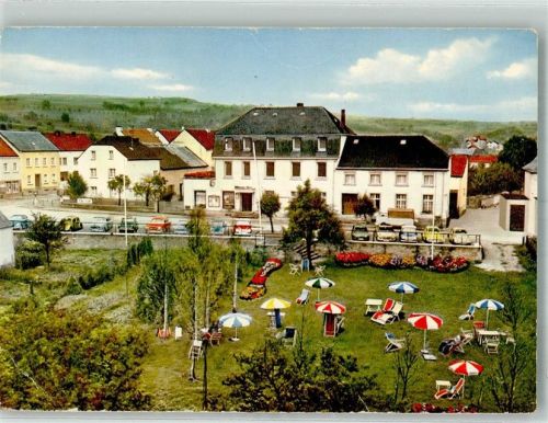 Irrel Hotel Pension Koch Schilt Auto Liegewiese Foto AK