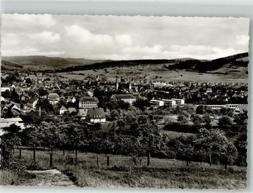 Schlüchtern Panorama des Ortes mit Stadtkirche St. Michael