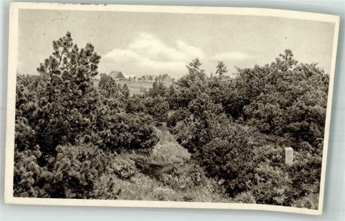 Zinnwald-Georgenfeld Georgenfelder Hochmoor