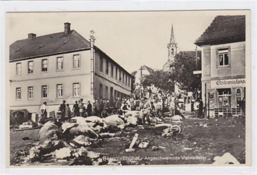 Kurort Berggießhübel Unwetterkatastrophe am 8. Juli 1927. Gottleubatal - Berggießhübel. angeschwemmte Tierkadaver ungelaufen Sehr gut erhalten.