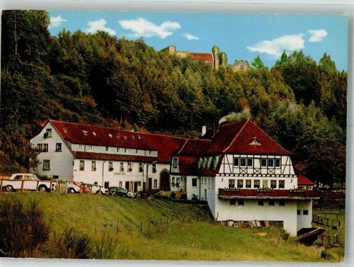 Karlstal Gasthaus Pension Klug'sche Mühle mit Burg Wilenstein Fotgoraf Hans Glogner