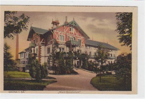 Wald-Sanatorium in Grüna in Sachsen ungelaufen Rückseite leicht fleckig, sonst gut erhalten