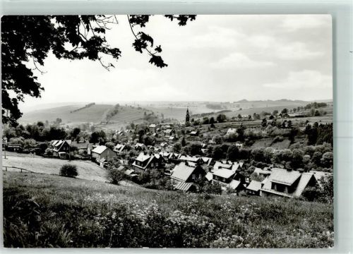 Wurzbach Blumenwiese
