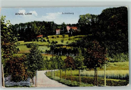 Alfeld Schlehberg Obstbäume