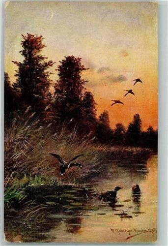 1911 Federwild Wildenten Jagdtiere AK