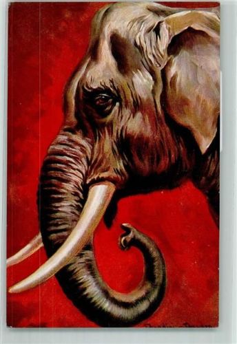 Elefant AK