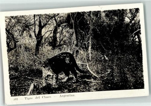 1957 Tigre del Chaco - Argentinien