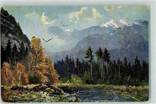 1916 Landschaft AK