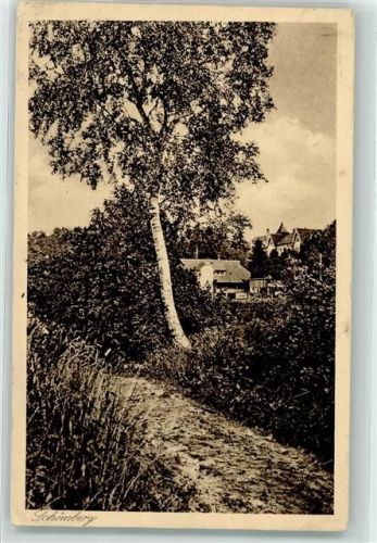Schömberg Neue Heilanstalt