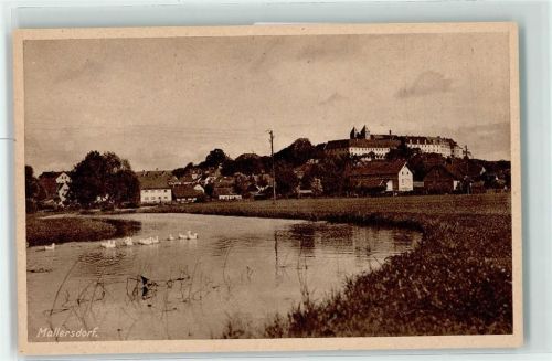 Mallersdorf-Pfaffenberg Gänse
