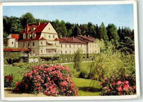 Wartenberg Sanatorium Wartenberg Garten Rosensträucher