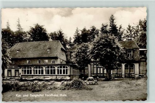 Hain Hotel Forsthaus Hain Gartenwirtschaft