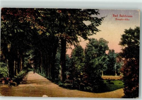 Bad Salzbrunn Zemplin-Allee