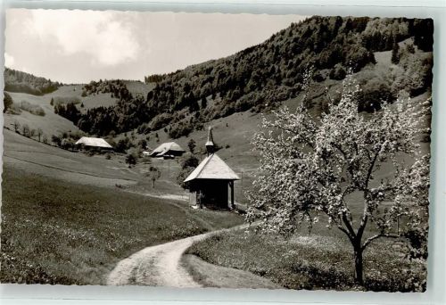 Aitern Rollsbach Schönau Schwarzwald Kapelle Baum Blüte