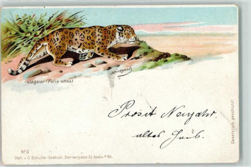 1900 Jaguar