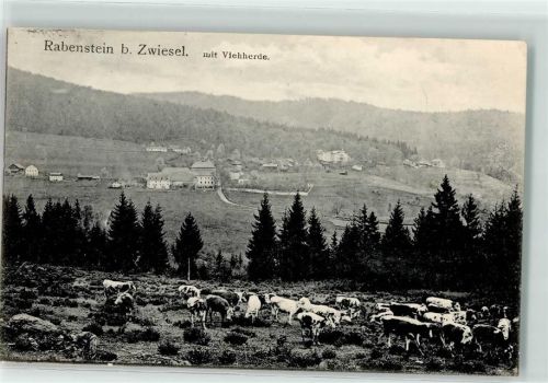 Rabenstein Viehherde
