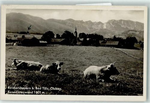 Reichersbeuern Rinder Benediktenwand