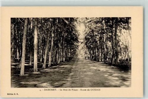 le Bois de Filaos Route de Ouidah
