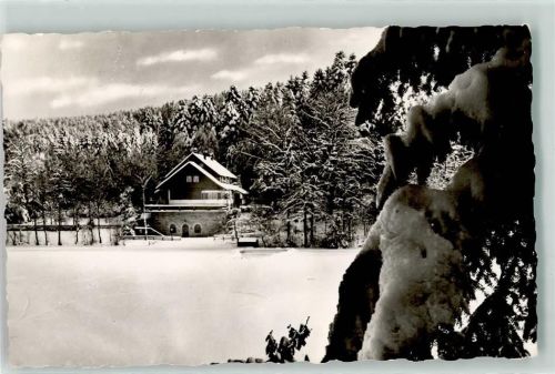 Ebnisee Winter