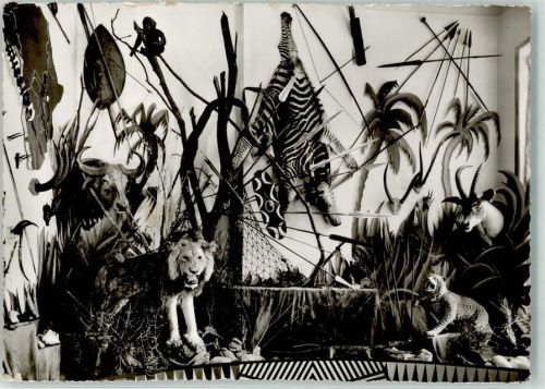 Mersch Marienthal Musee Africain des Peres Blancs Löwe Zebra