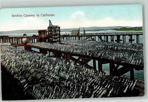 Monterey 1920 Sardine Cannery in Californien Zucht Beruf Sardinen