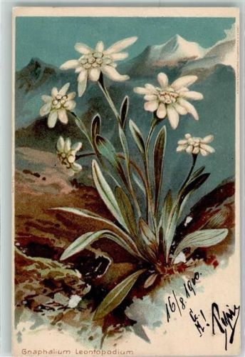 1900
