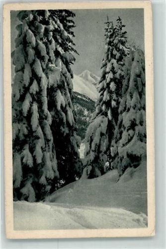 1920 Winteridyllen Nr.13