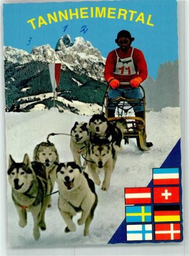 Weißenbach Polarhunde Schlittenrennen Tannheimertal
