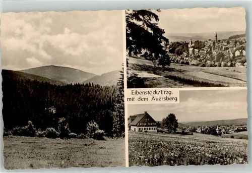 08309 O9405 Eibenstock Foto AK mit dem Auersberg
