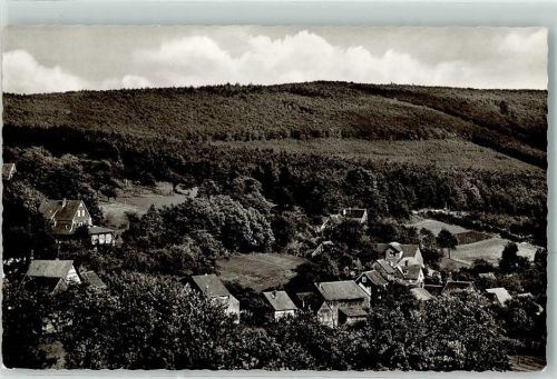 Vielbrunn Odenwaldheim