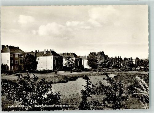Reinickendorf Breitkopfbecken Paddenpuhl