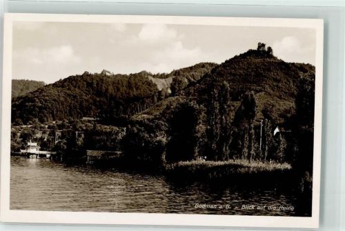Bodman Blick auf die Ruine