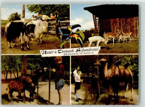 Brüggen Tierpark Schwalmtal
