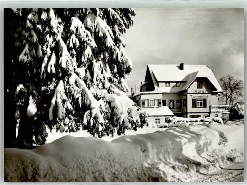 Zwieselberg Winter Hotel Tannenhof