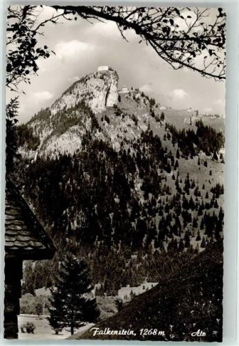 Falkenstein Foto Ate Burg Ruine