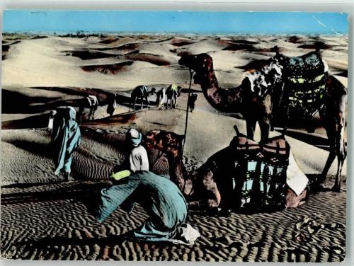 Beirut 1960 Tracht Kamel Ort lt. Verlag