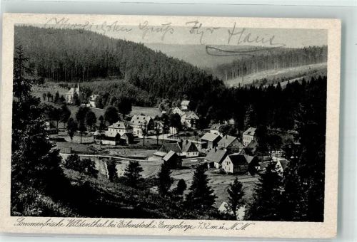 Wildenthal 1925