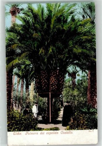 Elche
