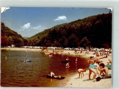 Waldfischbach-Burgalben Foto Original aus Archiv eines Ansichtskartenverlags Schwimmbad Clausensee Ort handschriftlich