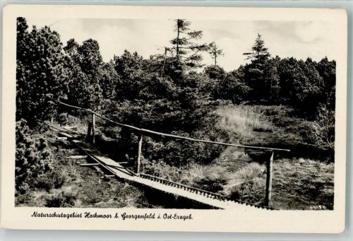 Zinnwald-Georgenfeld 1956 Steg durch das Naturschutzgebiet Hochmoos