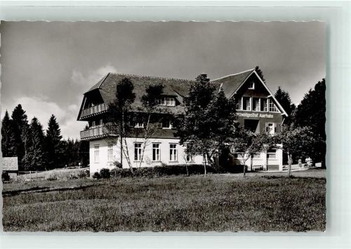 Zwieselberg Schwarzwaldgasthaus Auerhahn