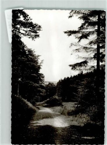 Dhünn Ort handschriftlich Foto Original aus Archiv eines Ansichtskartenverlags