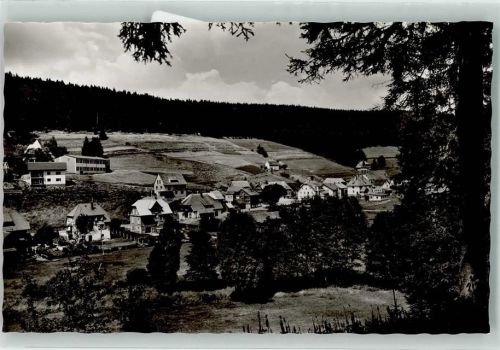 78166 W7710 Hammereisenbach Foto AK Foto Metz