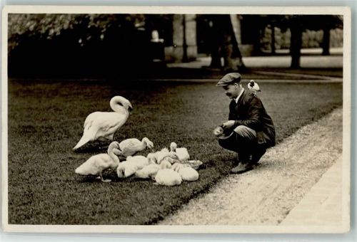 Asnieres-sur-Oise Jungtiere im Park füttern , Taube auf der Schulter Chateau de Royaumont