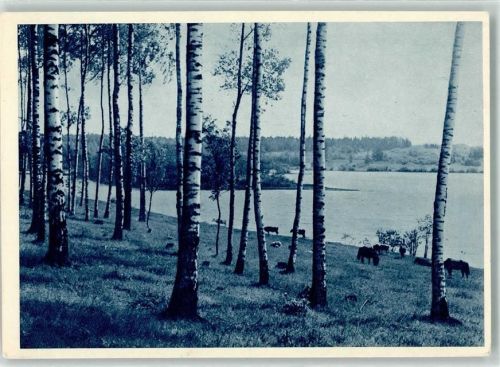 Zvejniekciems Ort lt. Verlag Vestiena