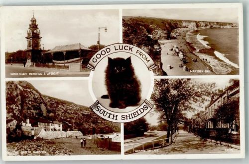 South Shields 1938 Katze Denkmal Wouldhave Memorial Lifeboat Strand