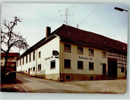 Gaienhofen Hotel Badischer Hof Foto Original aus Archiv eines Ansichtskartenverlags Ort handschriftlich